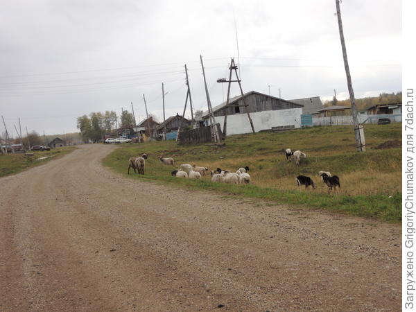 более поздняя улица