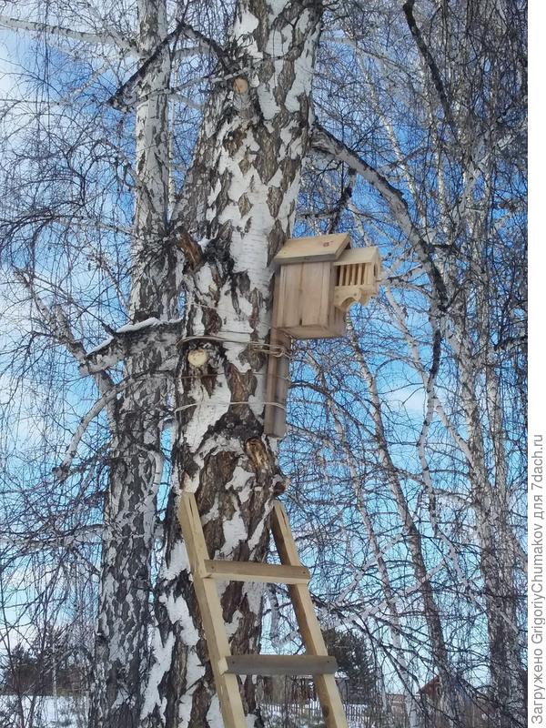 Привязка скворечника.