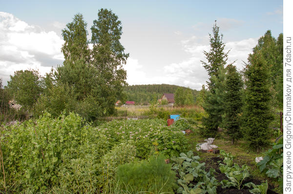 Вид от дома на огород