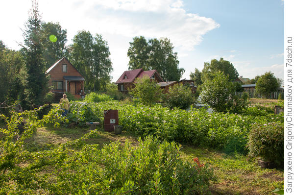 Дом с картошкой :)