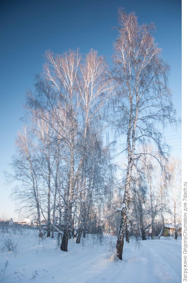Фото с районного центра (ближе к родной деревне)