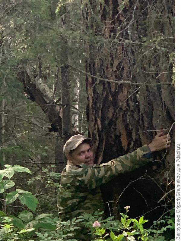 фото сделано 24.07.2022