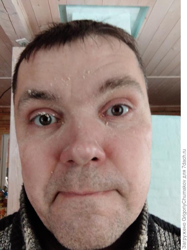 Под защиту пыль тоже пробилась