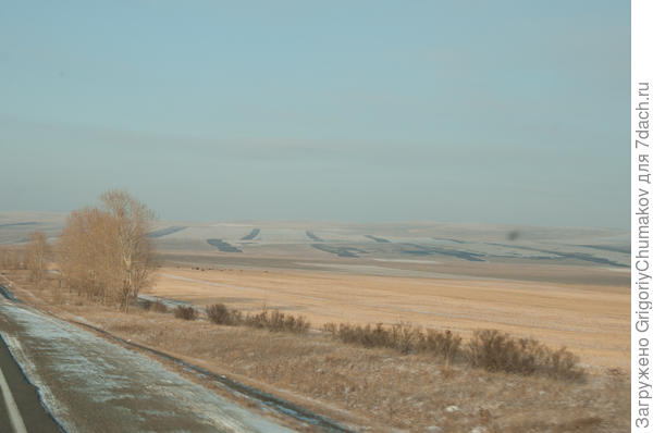 Снова степь