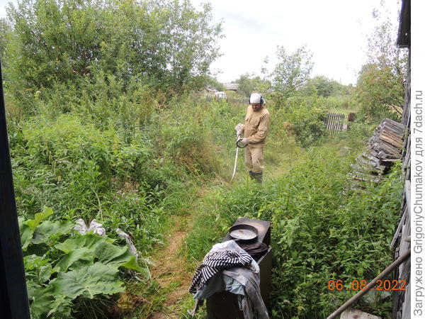 Скашиваю часть бурьяна для прохода.