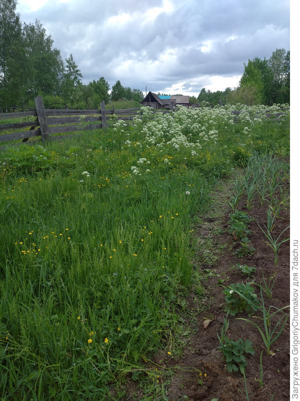 Ещё фото этой гадости