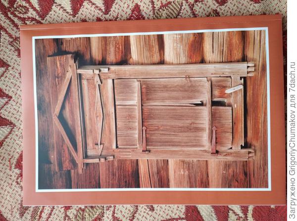 Задняя корка