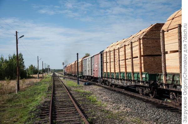 Времена нынешние, в моём детстве поездов уходило с лесом больше и везли много толстых брёвен