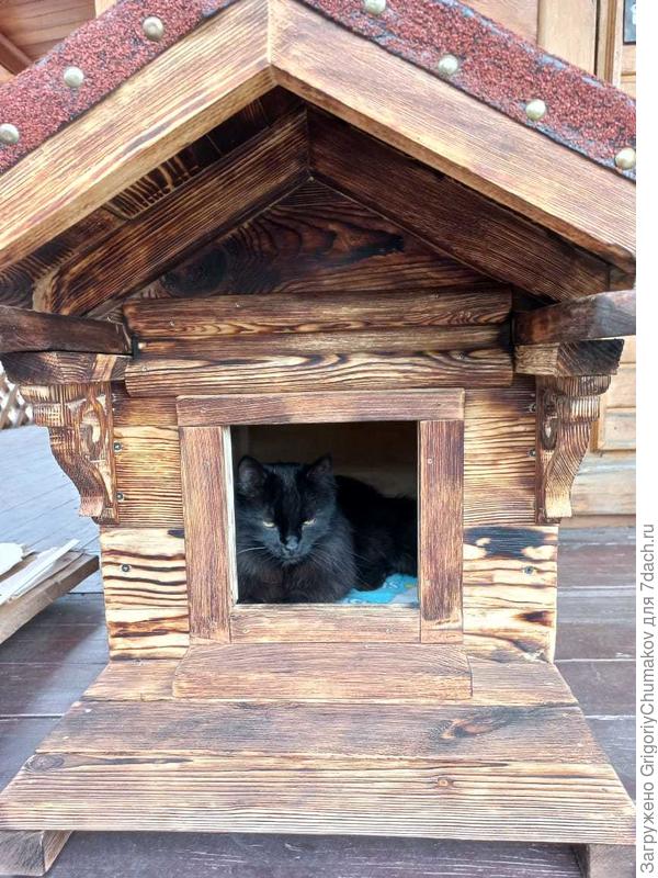 Хозяин домика