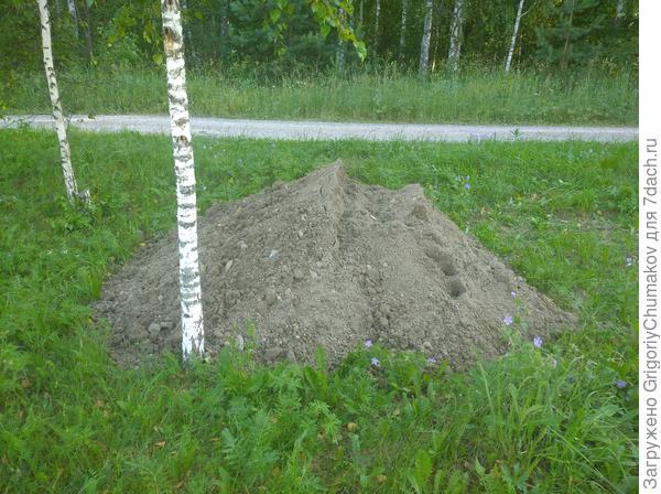Дополнительно купленный песок