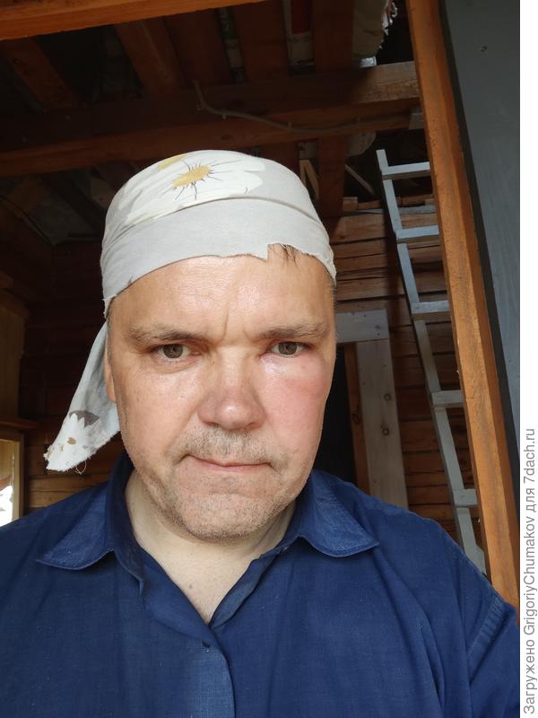 Не все козявки добрые. Осы вот точно нет