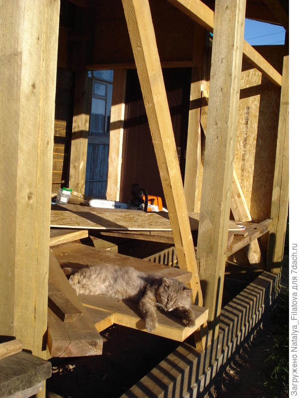 Васька дрыхнет-ремонт идет)