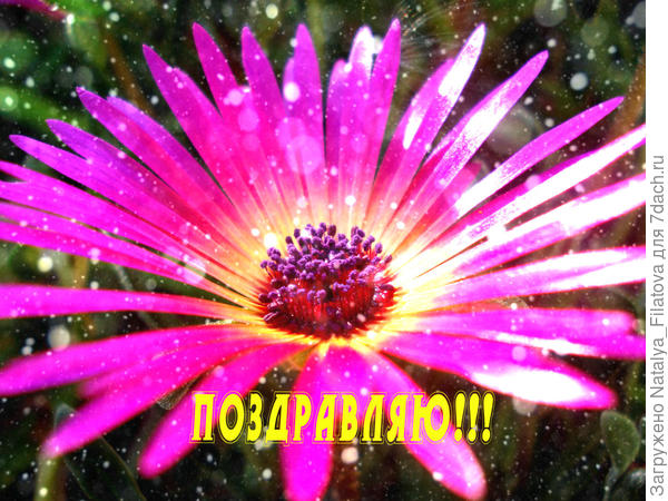 Открыточка