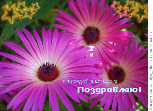 открыточка