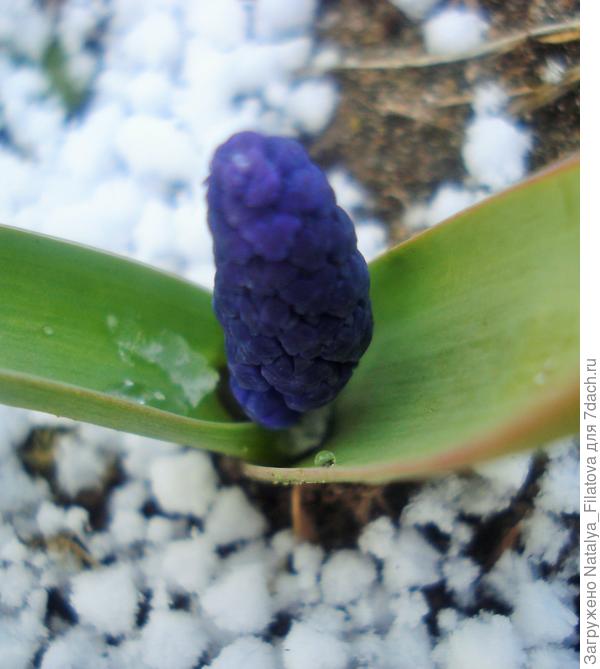 сегодня с утра