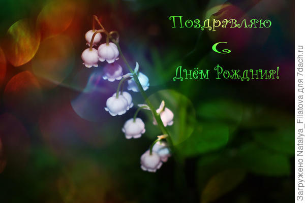 с Днём Рождения!