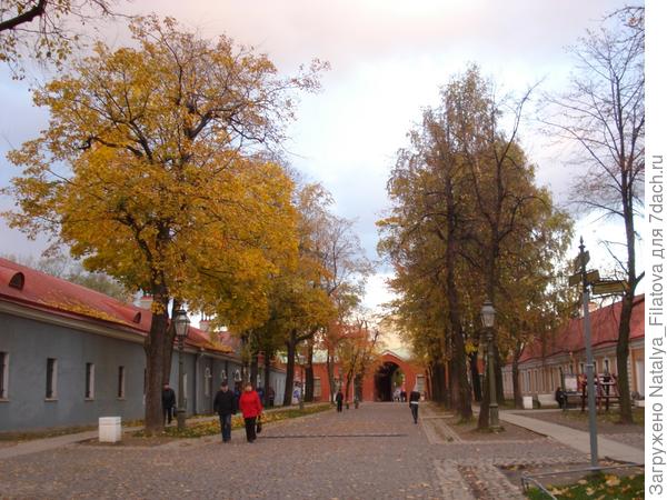 Осень. Питер