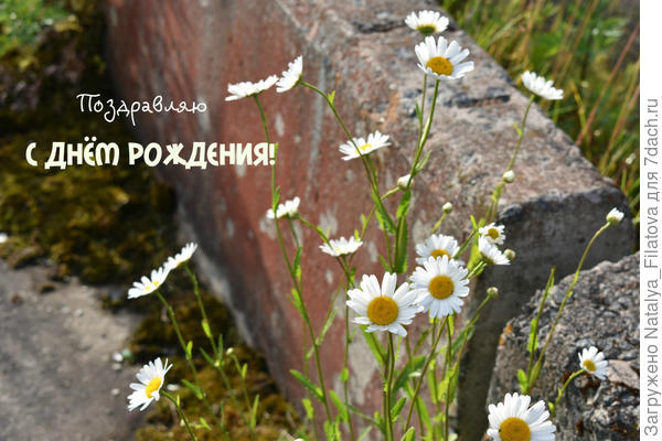 открыточка