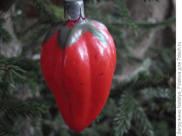 И как же на дачном сайте без овощей? Перец!