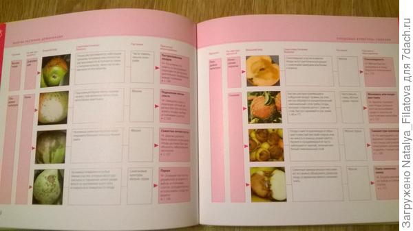 определитель