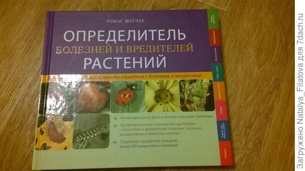 определитель