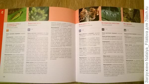 определитель