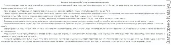 земляника уход 2 год