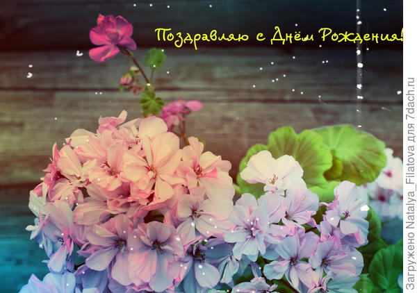 открыточка