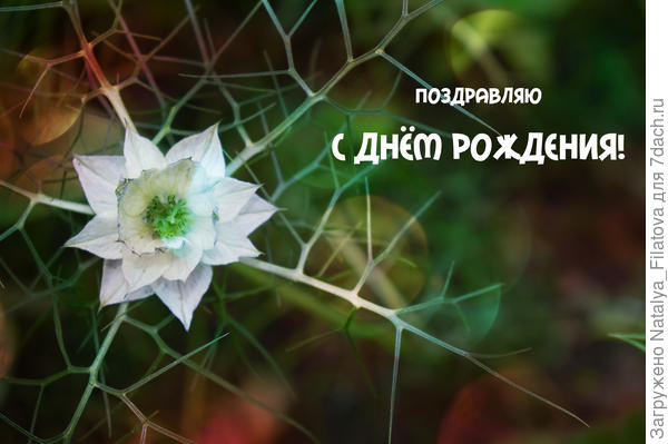 открыточка