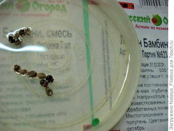 замачивание