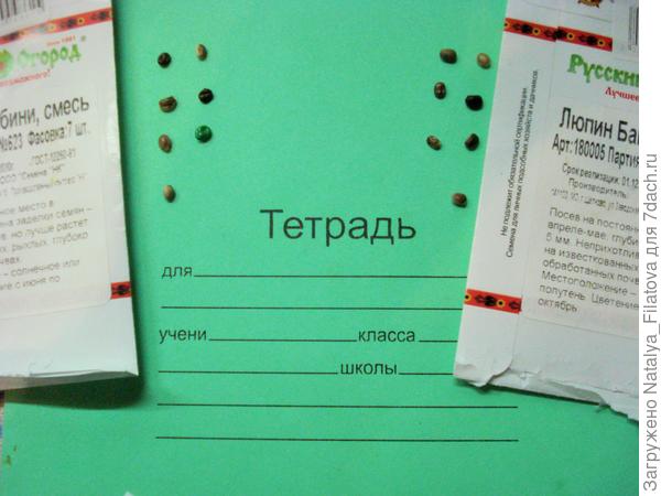 семена