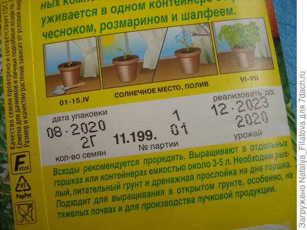 дата, сроки