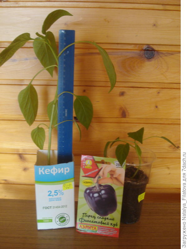 большой и маленький