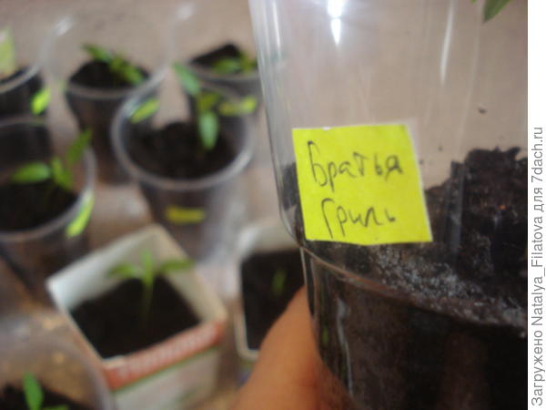 маркировка