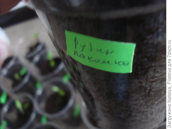 маркировка