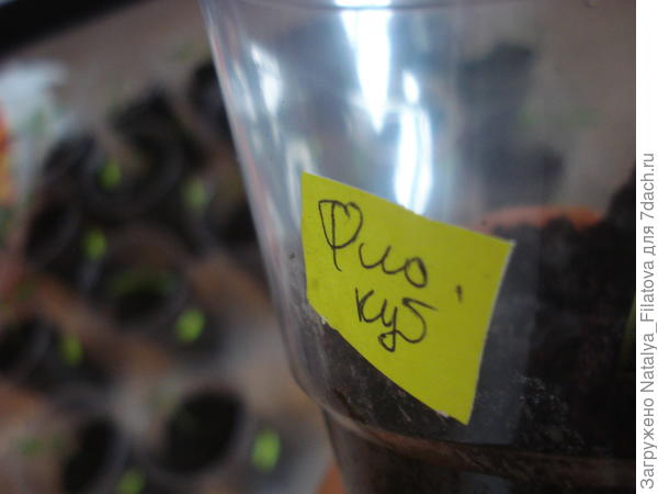 маркировка