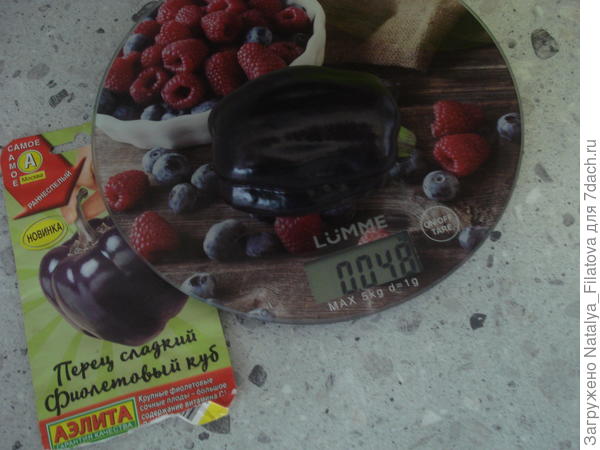 "Фиолетовый куб"