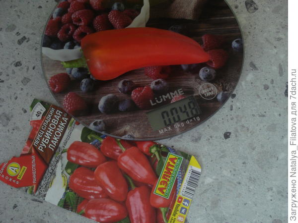 "Рубиновая лакомка"