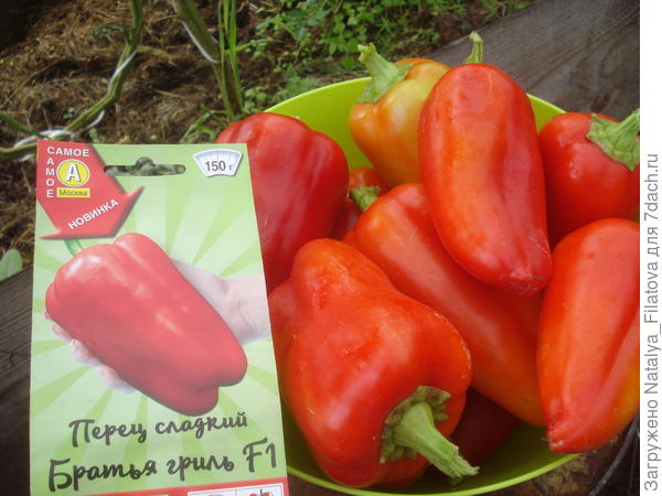 "Братья гриль"