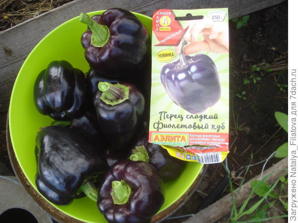 "Фиолетовый куб"