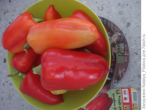 перец "Братья гриль"