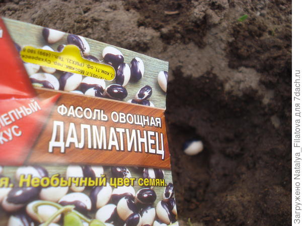 посадка