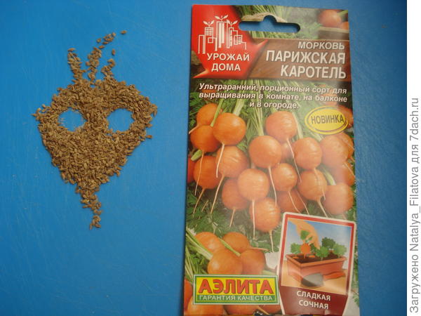 Морковь 'Парижская каротель'.