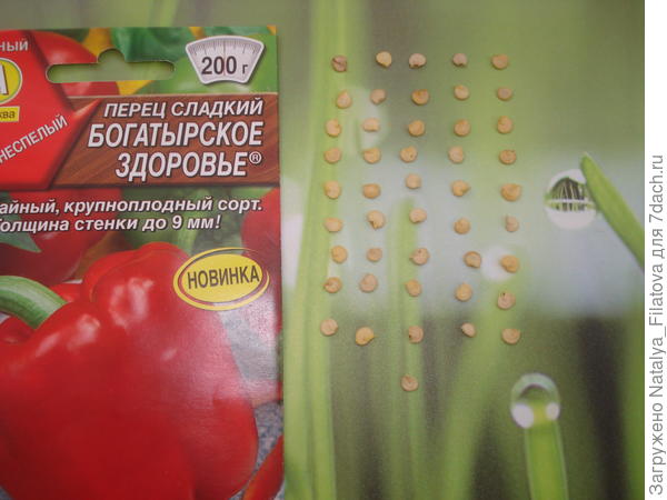 семена