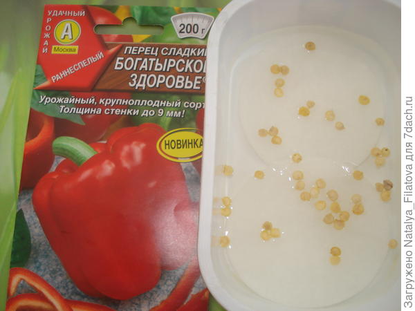 замочены