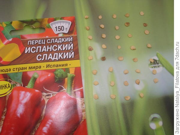 семена