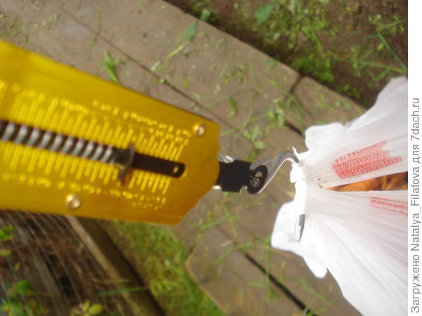 вес урожая 15 кг.