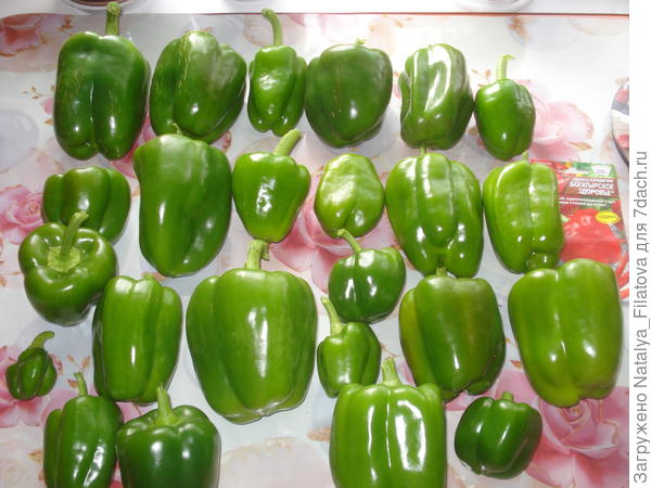 "Богатырское здоровье"