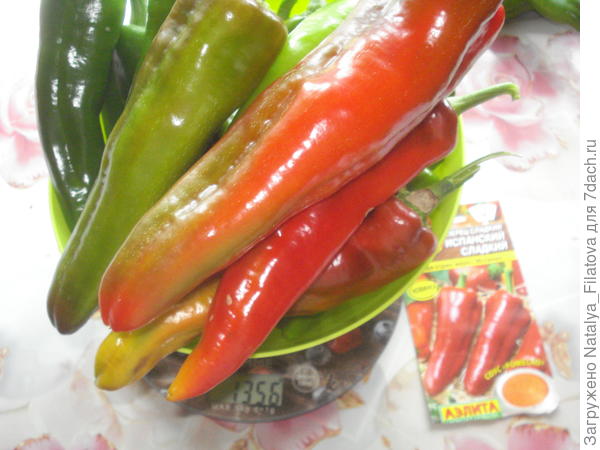 "Испанский сладкий" 1 взвешивание