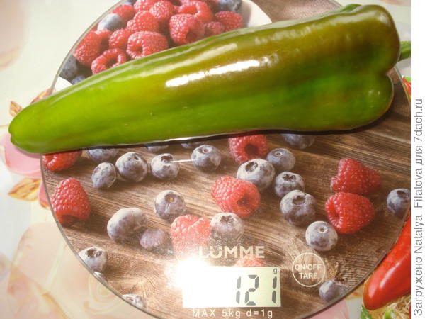 "Испанский сладкий"